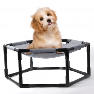 Elevated Dog Bed for Small Dog